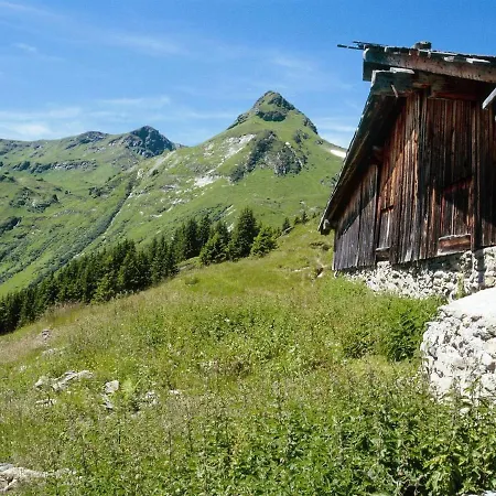 Vor der Lengau 1 Saalbach